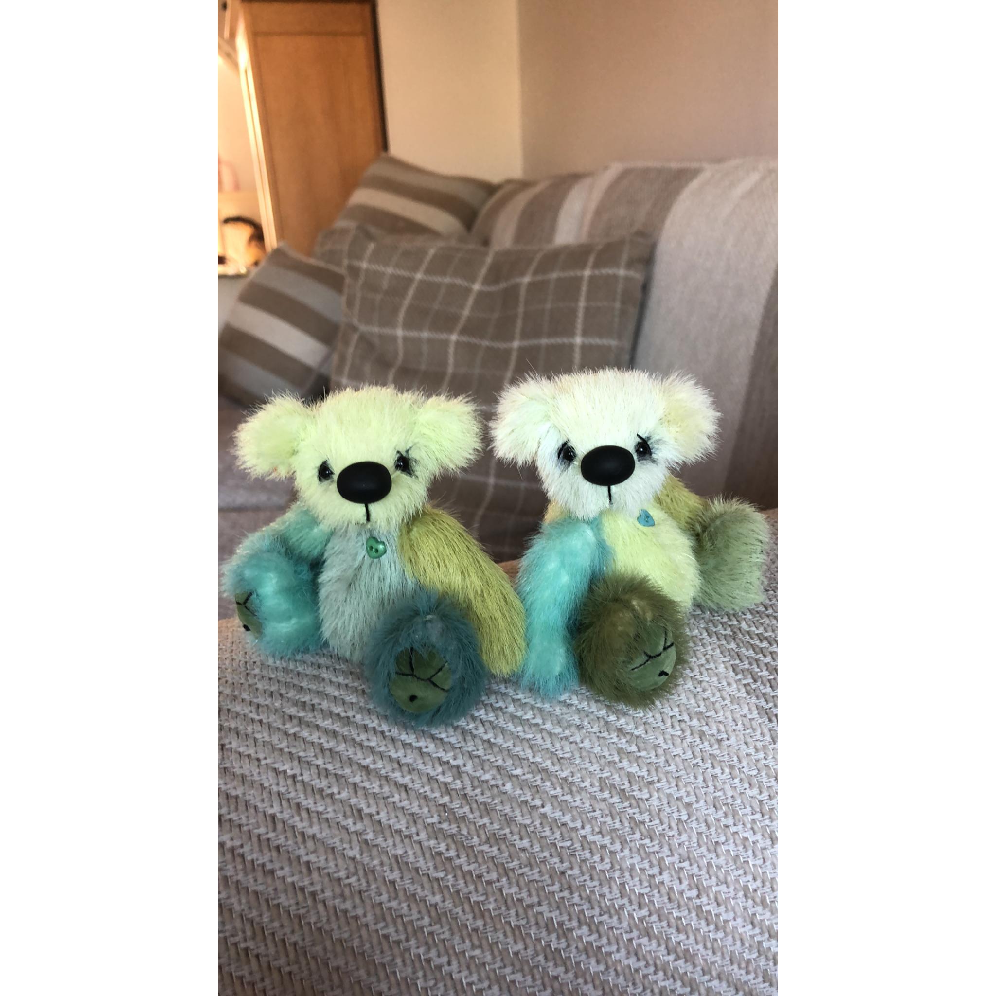 Ivy Bear Sidmouth Gifts
