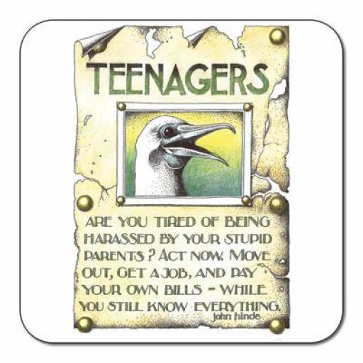 Teenager Coaster