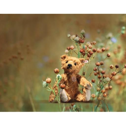 Linus Teddy Bear.jpg